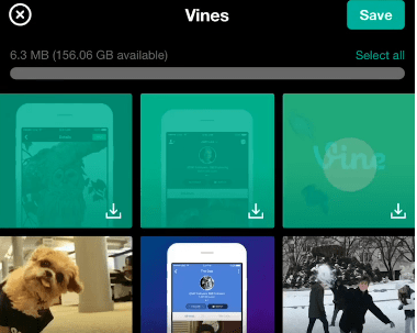 download-video-vine-ios-android-03