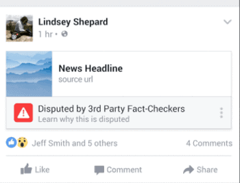 facebook-alert-fake-news-report-2