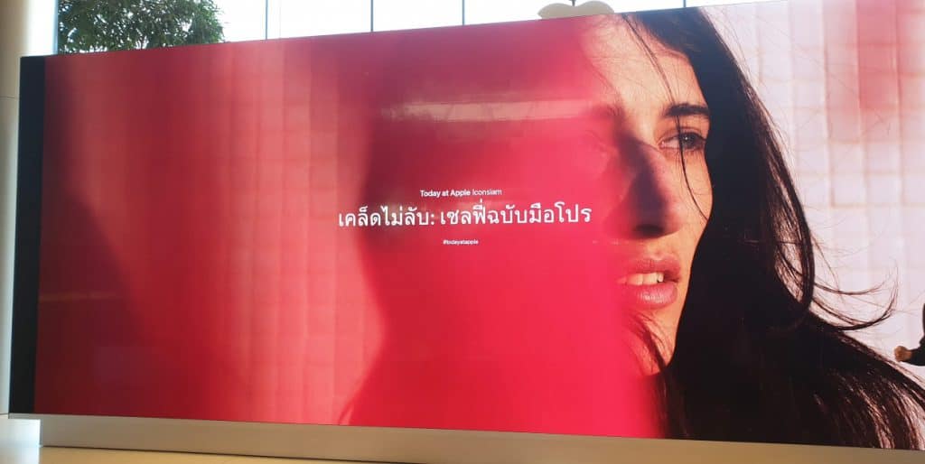 iPhone11 ขายในไทย วันแรก