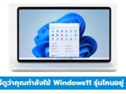 วิธีดูรุ่น Windows 11
