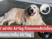 เตือน! อย่าติด AirTag ที่ปลอกคอสัตว์เลี้ยง