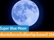 ชม Super Blue Moon