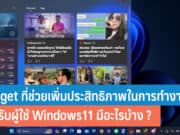 Widget Windows11