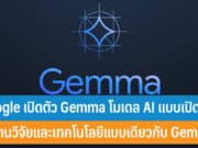 Gemma คืออะไร